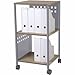 Produktbild Rocada Mehrzwecktrolley BxTxH 45x45x86cm buche/Silber