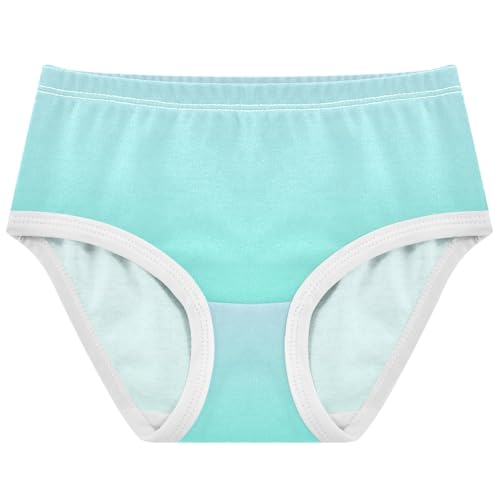 Joisal Elegant Blue Aqua Gradient Cute Panties Girl Girls Underwear Toddlers Cotton Florals Briefs Underpants 2t