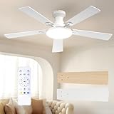 Passky Ventilatore da soffitto da 132 cm con illuminazione e telecomando, motore DC silenzioso, 5 pale, 6 velocità, 3 temperature di colore, timer, bianco