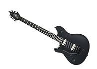 Basswood body, Arched top Quartersawn maple neck, Compound radius (12"-16") Maple fingerboard Dual EVH Wolfgang direct-mount humbucking pickups EVH Floyd Rose bridge and locking nut, and EVH tuners Case not included