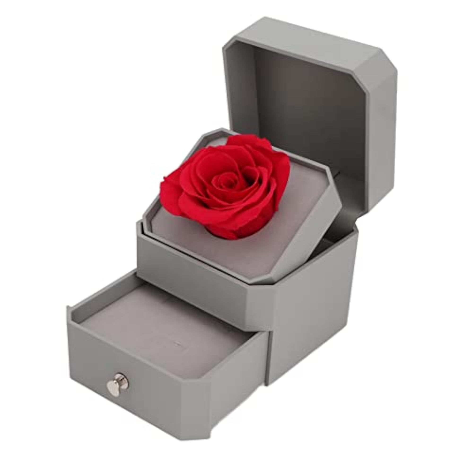 Eternal Roses Gift Box, Soft Flocking for Anniversary