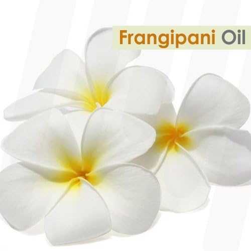 Image of Crysalis Frangipani Oil 30 ml (1.01 fl oz) - Exotic Tropical Floral Aromatic Oil for Luxury Perfumery, Romantic Diffusion Blends & Spa Formulations