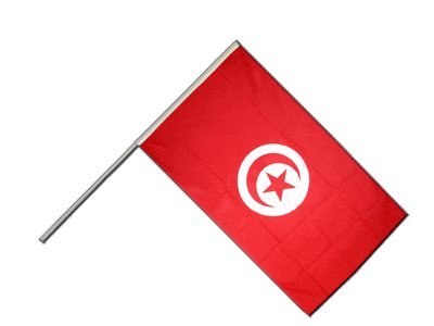 Drapeau Tunisie sur hampe Digni 60x90 cm pour pavoisement officiel et défilé