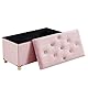 BRIAN & DANY Sitzbank mit Stauraum, Faltbarer Sitztruhe mit Beinen und Deckel, Sitzhocker Samt Aufbewahrungsbox für Wohnzimmer Schlafzimmer Flur, 76 x 38 x 38 cm, Rosa