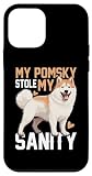 Coque pour iPhone 12 mini Pomsky Jouet pour chien en peluche Pomsky Lit en peluche Pomsky