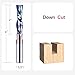 SpeTool Down Cut Spiral Router Bit 1/2