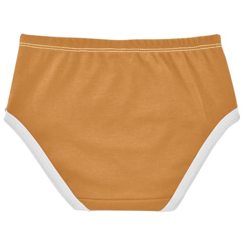 Joisal Ocher Brown Panties Little Girl Toddlers Underwear Floral Cotton Fancy Briefs Underpants 2t2