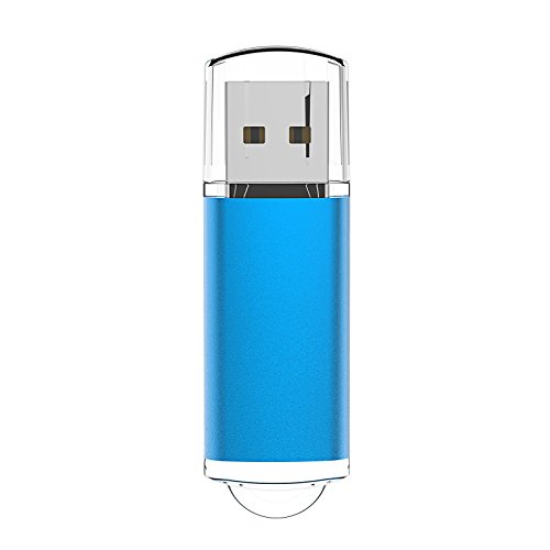 Raoyi 10 Pack 2G 2Gb Usb Flash Drive Usb 2.0 Memory Stick Thumb Drive Pen Drive Blue #TOP5