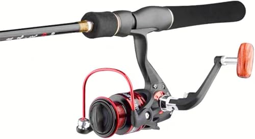 ZanPol [ JZނ `k[ CJ_[  Ƃ Cނ /E ┳ JZ `^KCh fUC /Ή \tge[݌v }CNLXeBO Ƃ (B,1M)