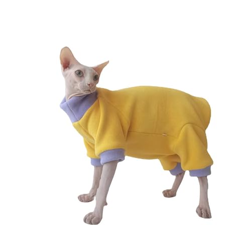 Vêtements hiver pour chat Sphynx pull violet chaud pour maison et sieste
