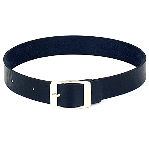 ETHOON Choker Necklace for Women 4 Adjustable Belt Cool Gothic PU Collar
