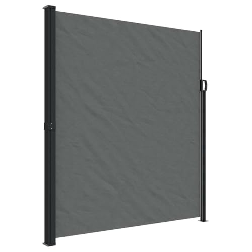 vidaXL Toldo Lateral retráctil Gris Antracita 220x500 cm
