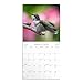Hummingbirds 2025 Wall Calendar