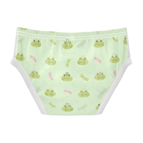 Boys' Exclusive Briefs Toddler Underwear 95% Combed Cotton Boxerbriefs 2T Frog and Dragonfly Pattern 582