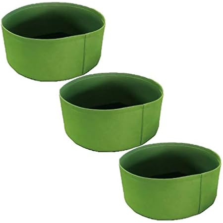 Amazon 不織布ポット フェルトプランター 葉物 野菜栽培 家庭菜園 寄せ植え 多肉植物 浅い 大きい 鉢 プランター ガーデニング 3個セット 直径50x高さ 緑 Green 鉢