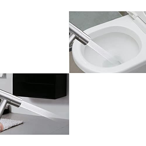 Bidet à main en acier inoxydable avec flexible pour WC