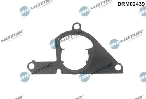 DR.MOTOR AUTOMOTIVE DRM02439 Joint pompe Ă vide