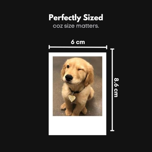 Image of Cute Dog & Puppy Poster Polaroids | Dog Memes Mini Posters Kit (Set of 15) | Dog PFPs Collage Kit Polaroids Sized (8 x 6 cm) Posters for Phone Accessories, Bedroom, Office, Living room (Dog Memes)