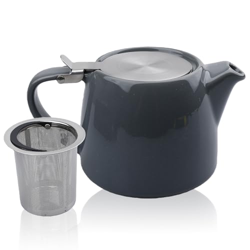 BAIFULAI Tetera de porcelana de cerámica, 600 ml, tetera japonesa con filtro de acero inoxidable, juego de té de porcelana, set de regalo para los amantes del té, gris oscuro