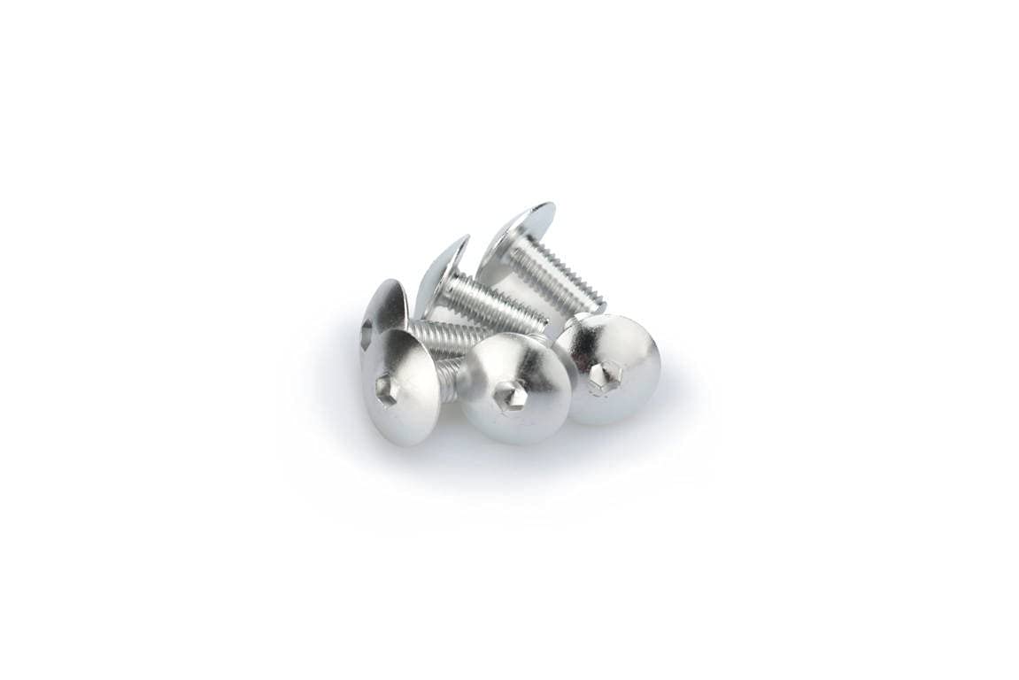 Puig Silver M6 Domed Screws 15mm x 6