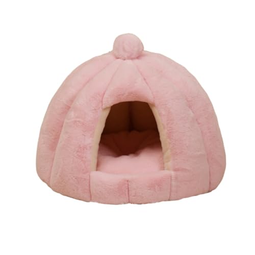 Diexgiy[̊ۂA^̏ȃETM̖є̏HƓ~p̃ybgnEXA^E^p (F56cm x 48cmia x j,sN)