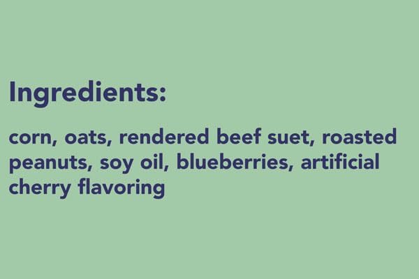 C&S Berry Delight No Melt Suet Cakes, 11.75 oz., Pack of 16