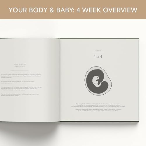 Diario de embarazo para registrar momentos especiales y fotos de tu viaje 6