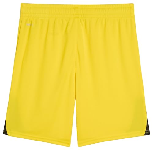 Image of Puma Boys Kids' Teamliga Shorts