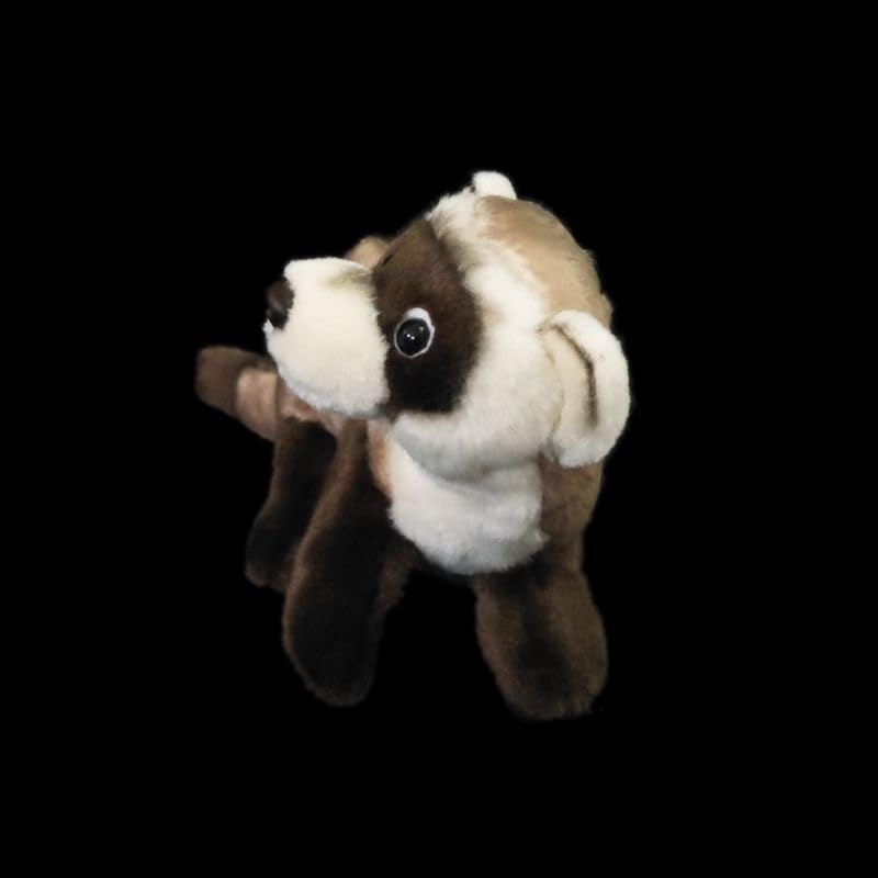 Peluche furet à pattes noires, adorable poupée pour réchauffer les cœurs - 3