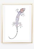 Kunstdruck Din A4 ohne Rahmen - Bunter Gecko - 