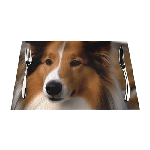 Set de table tissés Shetland Sheepdog résistant chaleur et lavable en PVC pour maison - 7