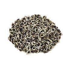 Image of SK ORGANIC Compatible with ODC MORINGA Seeds Advance Variety Drumstick Seeds 250Gms (Sahjan ki Phalli,Saragavo) (2 times flowering)