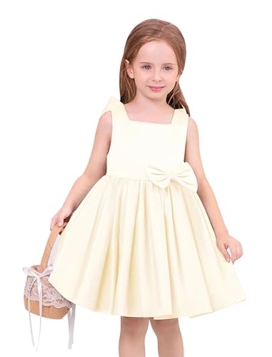 Baby Girl Dress Christening Baptism Gowns Flower Girl Dress Baby Dress Bowknot Flower Dresses Lace Pageant Party Wedding Flower Girl Tutu Gown Flower Girl Dress Champagne 18-24 Months