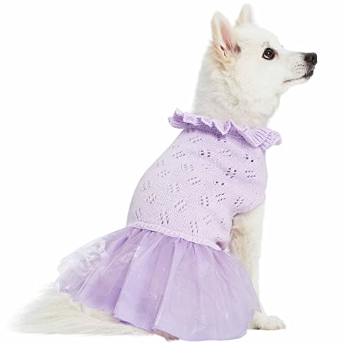Pull chien lavande 35.6cm idéal pour sorties et photos