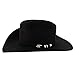 Stetson Unisex Apache 4X Felt Cowboy Hat Black 7 3/4