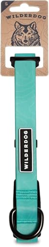 Image of Wilderdog Waterproof Dog Collar - Repels Water & Dirt - Small 11 inch-15 inch - Seafoam