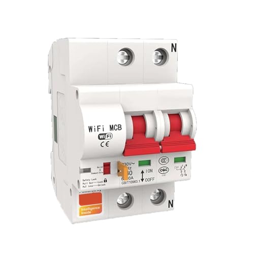 Disjoncteur WiFi Smart Life 2P 25A pour tableau électrique