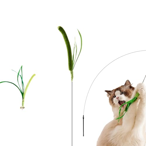 JYIXTN �L��������L����炵 �y�b�g�p�������� �L�̉^���s�������E�X�g���X���� �q�L�����L���y���߂� �ϋv�� �C���^���N�e�B�u�v���C (�O���[��)