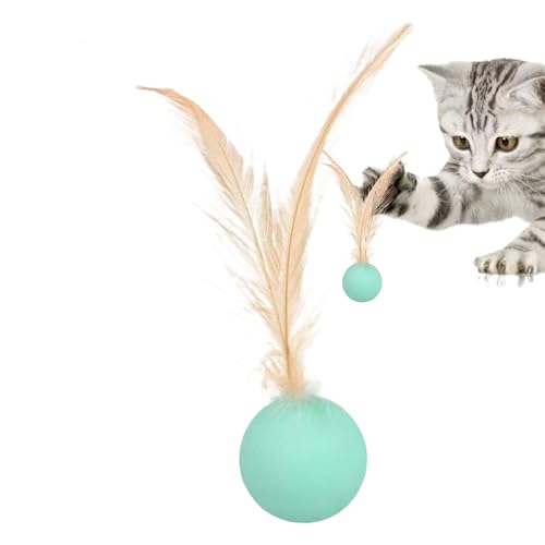 �L���b�g�{�[�� | �����ǂ������������� | �H�t���܊��h���{�[�� �������O�V�ёΉ� ��{�\�^���P�� �ދ������p �L�p�m��ߋ�