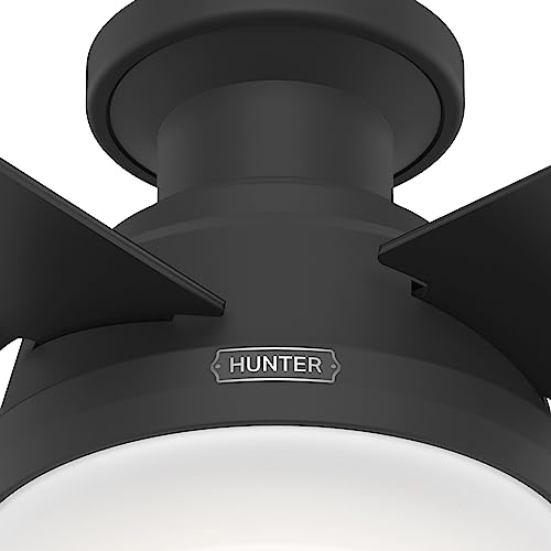 Hunter 52389 Dempsey Ceiling Fan 52 inches Matte Black thumbnail 9