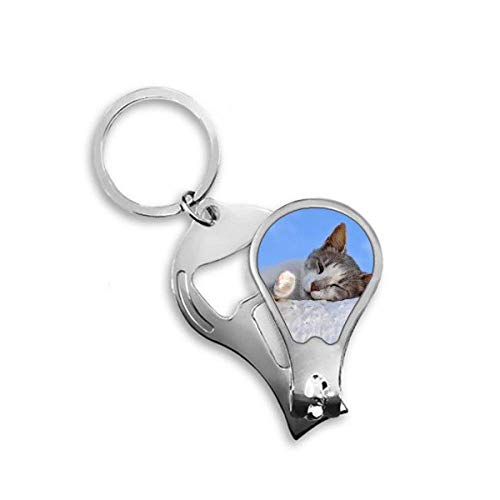 Toenail clipper cutter kitty cat évite les griffures de chat à la maison