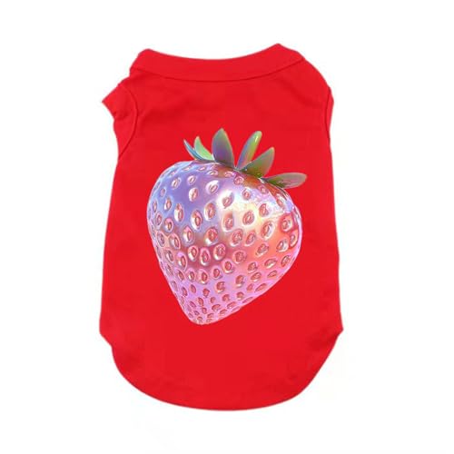 [QINTIW]  bh EFA ybg Ck Vv 6F I[_[Ch ʐ^ Vc ӂӂ _炩 U  t  5XL H K іh~ [EFA p t@bV^ tH~ Lp ybgp