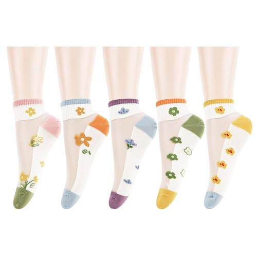 Image of Benefeet Sox Sheer Socks for Women Girls Mesh Ankle Socks Transparent Mesh Lace Sock Cute Thin Nylon See Through Sock