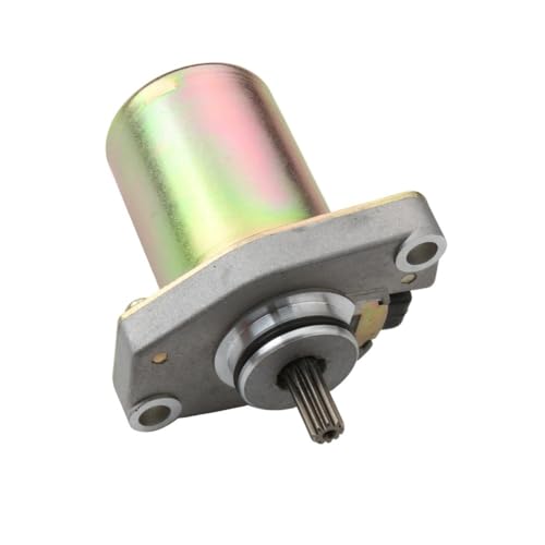 Motor de arranque de 10 dientes compatible con BWS50 CS CW YH Why50 y Axis50