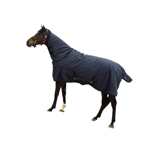 Drap d'hiver pour cheval 900D résistant à l'eau avec doublure coton haute chaleur