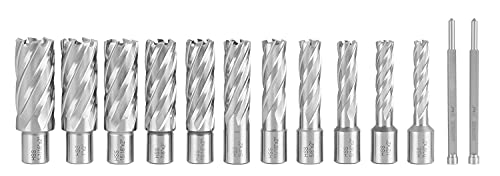 Accusize Industrial Tools 13 Pc 7/16'' To 1-1/16'' H.s.s. Annular Cutters, 2'' Cutting Depth, 3/4'' Weldon Shank, With 2 Pilot Pins, Strong Case, N2 #TOP4