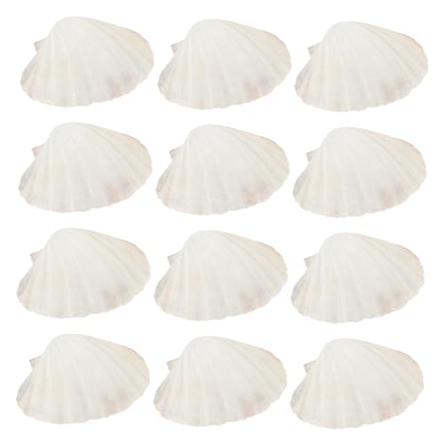 DOITOOL 20 VR̊k̐H  z^eL̊k DiyNtg̑ x[W VRVF