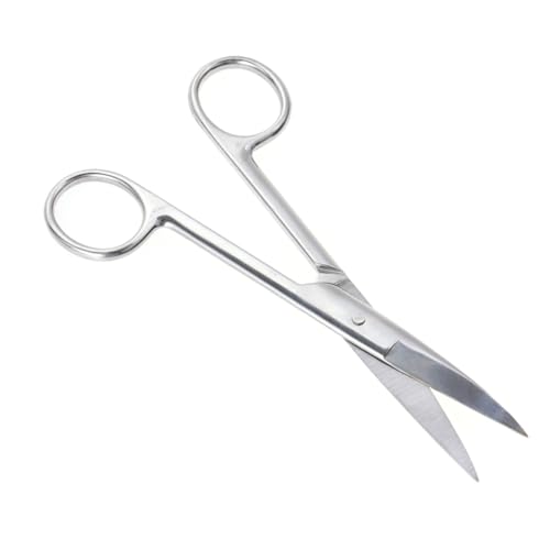 DOITOOL Elegant Stainless Steel Eyebrow Scissors -tipped Curved for Makeup Nose Hair and Eyelid Tape