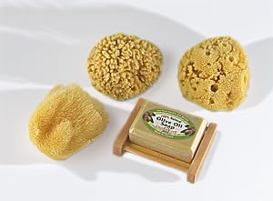 SeaSationals™ Natural Sea Sponge Sampler (6"-7" Adult Luxuriously Large Sized)