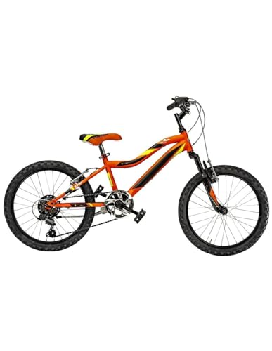 Cambio: Sistema di cambio a 6 velocità per una pedalata fluida e versatile
